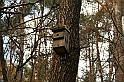 Rostoczek 11.2008 132
